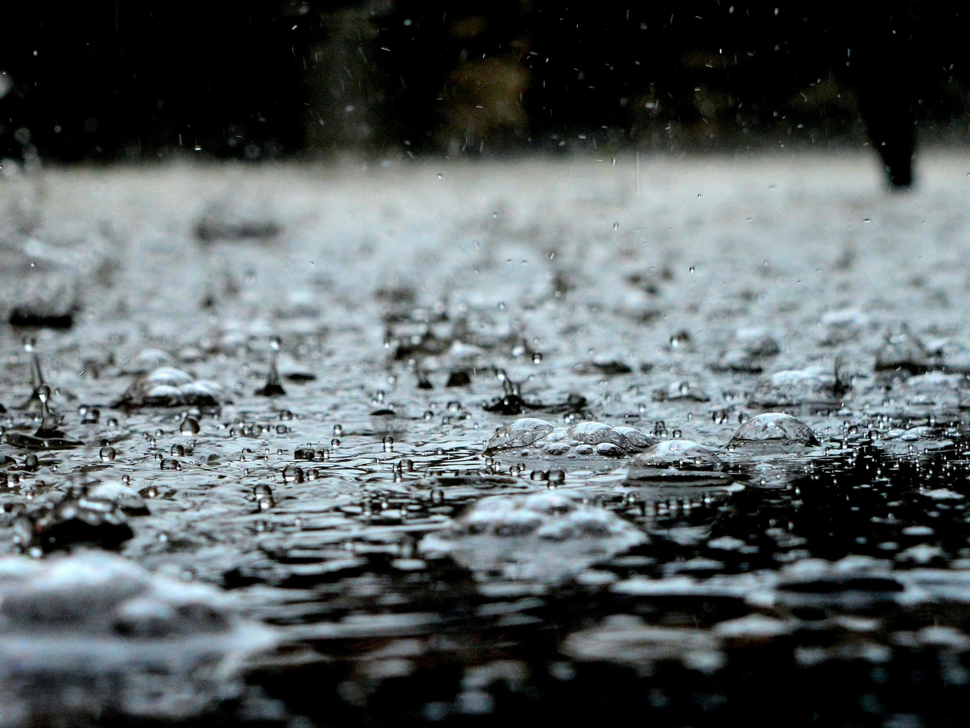 Clima hoy en Valencia, Carabobo, Venezuela: el pronóstico del tiempo para este v… | Noticias Tech y Ciencia Actualizadas